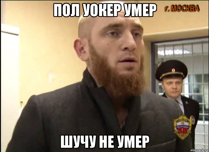 Пол уокер умер Шучу не умер, Мем Шучу