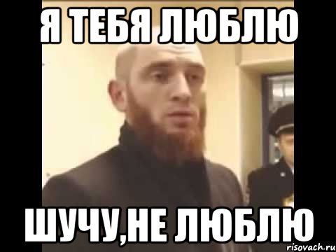 Я ТЕБЯ ЛЮБЛЮ ШУЧУ,не люблю, Мем Шучу