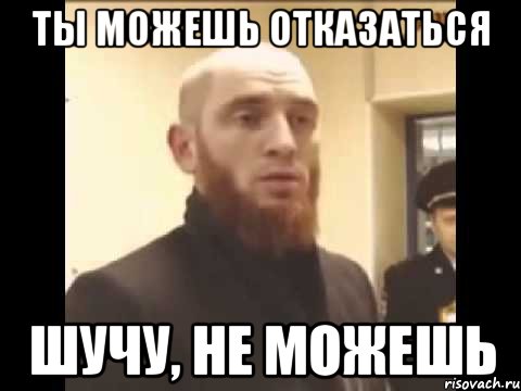 ТЫ МОЖЕШЬ ОТКАЗАТЬСЯ ШУЧУ, НЕ МОЖЕШЬ, Мем Шучу