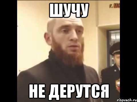 шучу не дерутся, Мем Шучу