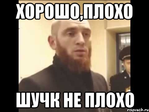 Хорошо,Плохо Шучк не плохо, Мем Шучу