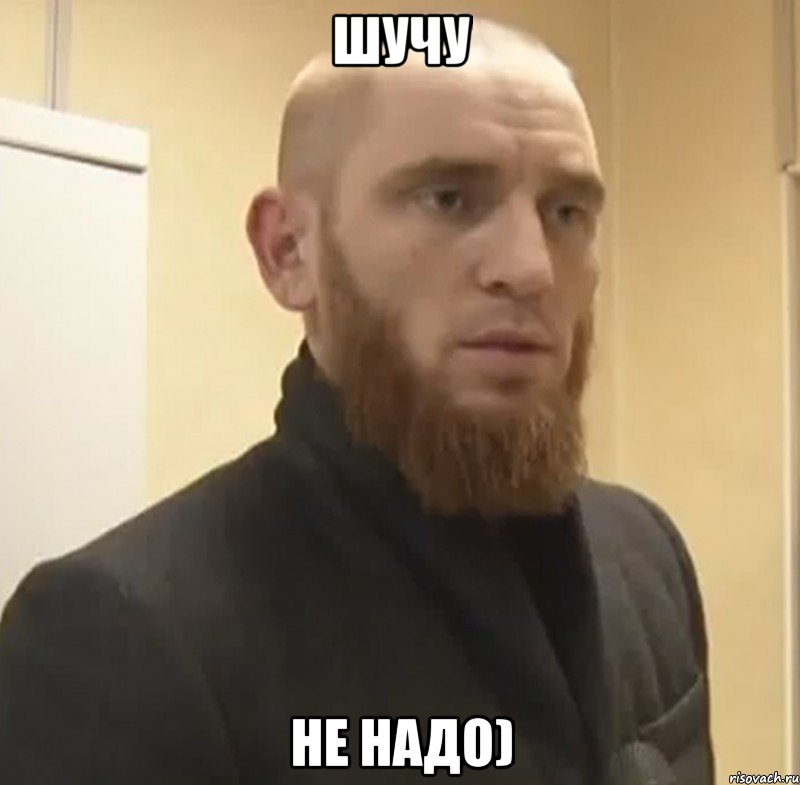 ШУЧУ нЕ НАДО), Мем Шучу