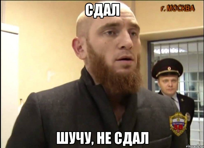 Сдал Шучу, не сдал, Мем Шучу