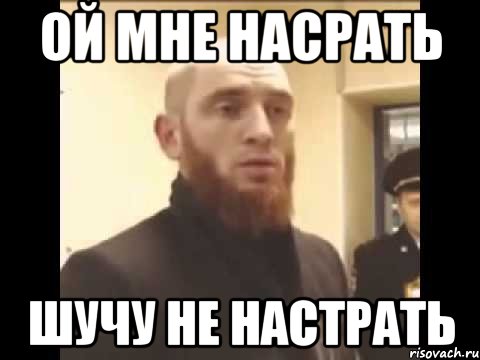 Ой мне насрать Шучу не настрать, Мем Шучу