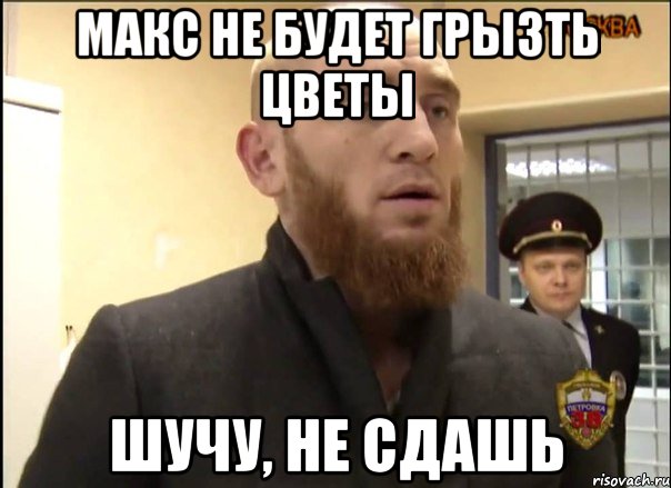 МАКС НЕ БУДЕТ ГРЫЗТЬ ЦВЕТЫ ШУЧУ, НЕ СДАШЬ, Мем Шучу