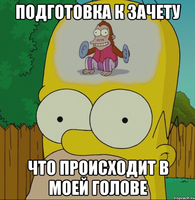 Подготовка к зачету Что происходит в моей голове