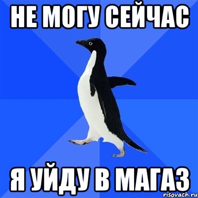 Не могу сейчас Я уйду в магаз, Мем  Социально-неуклюжий пингвин