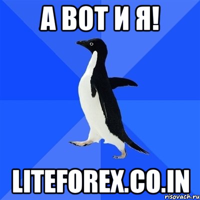 А вот и Я! liteforex.co.in, Мем  Социально-неуклюжий пингвин