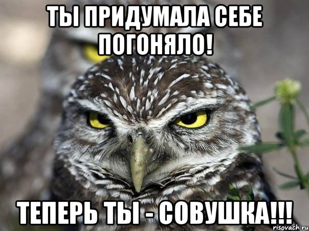 Ты придумала себе погоняло! Теперь ты - совушка!!!