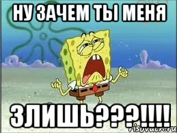 Ну зачем ты меня ЗЛИШЬ???!!!!, Мем Спанч Боб плачет