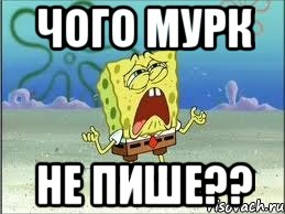 Чого мурк не пише??, Мем Спанч Боб плачет