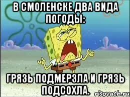 в Смоленске два вида погоды: грязь подмерзла и грязь подсохла., Мем Спанч Боб плачет