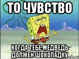 То чувство когда тебе медведь должен шоколадку, Мем Спанч Боб плачет