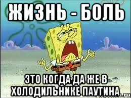 жизнь - боль это когда да же в холодильнике паутина, Мем Спанч Боб плачет