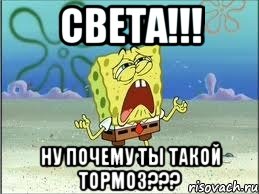 СВЕТа!!! ну почему ты такой тормоз???, Мем Спанч Боб плачет