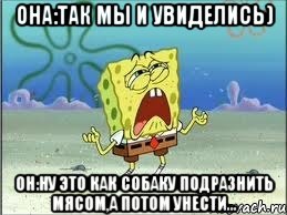 Она:Так мы и увиделись) Он:Ну это как собаку подразнить мясом,а потом унести..., Мем Спанч Боб плачет