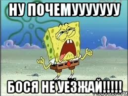 ну почемууууууу Бося не уезжай!!!!!, Мем Спанч Боб плачет