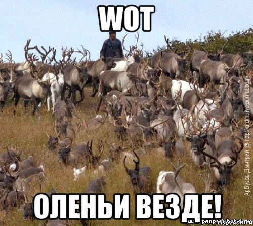 WoT оленьи везде!