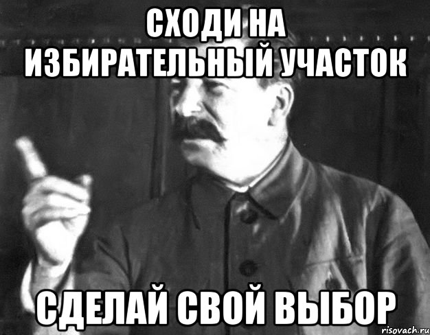 Сходи на избирательный участок Сделай свой выбор, Мем  Сталин пригрозил пальцем