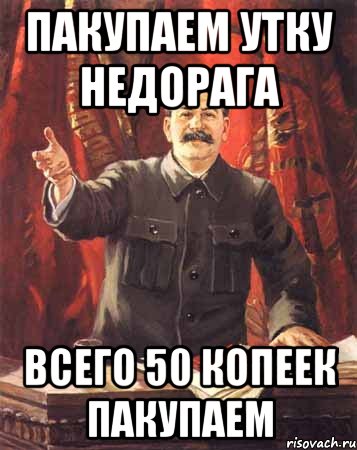 пакупаем утку недорага всего 50 копеек пакупаем, Мем  сталин цветной