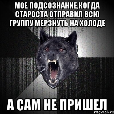 Мое подсознание,когда староста отправил всю группу мерзнуть на холоде А сам не пришел, Мем Сумасшедший волк