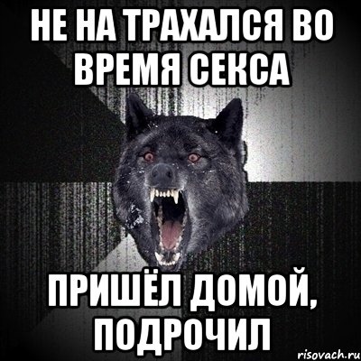 НЕ НА ТРАХАЛСЯ ВО ВРЕМЯ СЕКСА ПРИШЁЛ ДОМОЙ, ПОДРОЧИЛ, Мем Сумасшедший волк