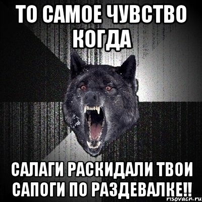 То самое чувство когда салаги раскидали твои сапоги по раздевалке!!, Мем Сумасшедший волк