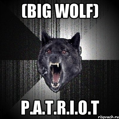 (Big wolf) P.A.T.R.I.O.T, Мем Сумасшедший волк