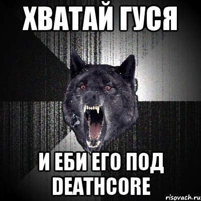 Хватай гуся и еби его под deathcore, Мем Сумасшедший волк