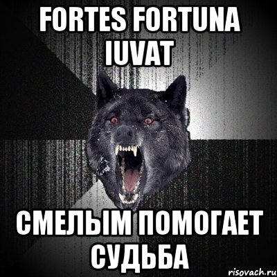 FORTES FORTUNA IUVAT СМЕЛЫМ ПОМОГАЕТ СУДЬБА, Мем Сумасшедший волк