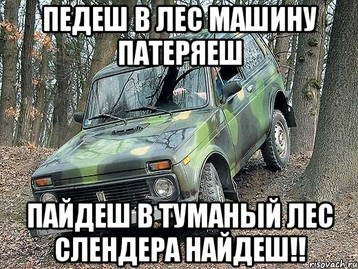 ПЕДЕШ В ЛЕС МАШИНУ ПАТЕРЯЕШ ПАЙДЕШ В ТУМАНЫЙ ЛЕС СЛЕНДЕРА НАЙДЕШ!!, Мем типичный водитель ВАЗ-2121