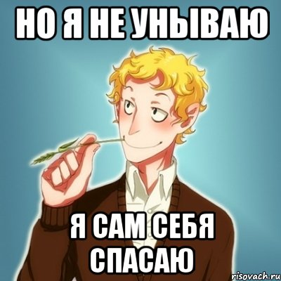 НО Я НЕ УНЫВАЮ Я САМ СЕБЯ СПАСАЮ, Мем Типичный Есенин