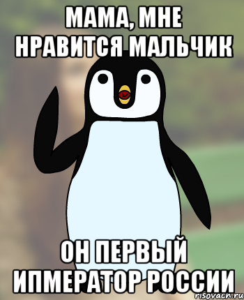 мама, мне нравится мальчик он первый ипмератор России, Мем Типичный олимпиадник