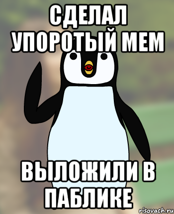 сделал упоротый мем выложили в паблике, Мем Типичный олимпиадник