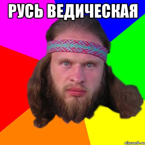 РУСЬ ВЕДИЧЕСКАЯ , Мем Типичный долбослав