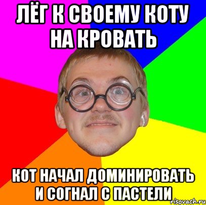 Лёг к своему коту на кровать Кот начал доминировать и согнал с пастели, Мем Типичный ботан