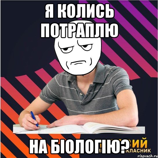 Я колись потраплю на біологію?, Мем Типовий одинадцятикласник