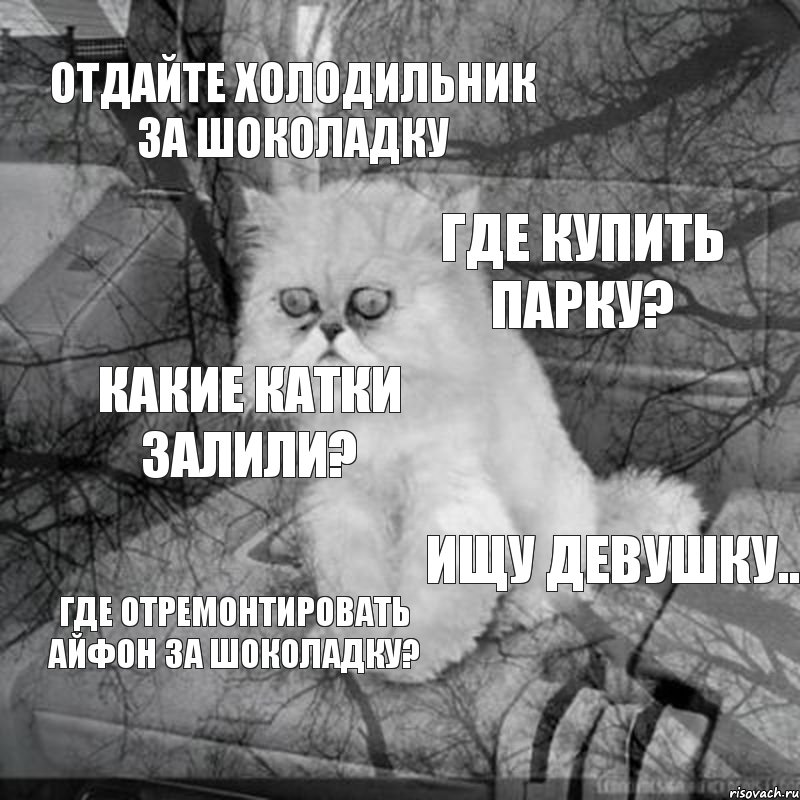 отдайте холодильник за шоколадку где купить парку? какие катки залили? ищу девушку.. где отремонтировать айфон за шоколадку?