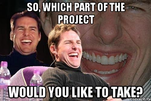 So, which part of the project would you like to take?, Мем том круз