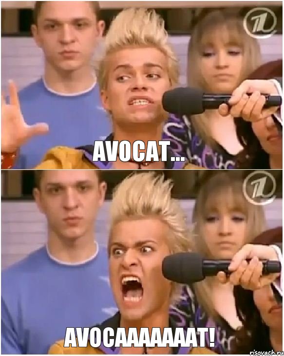 avocat... AVOCAAAAAAAT!, Комикс Товарищ адвокат