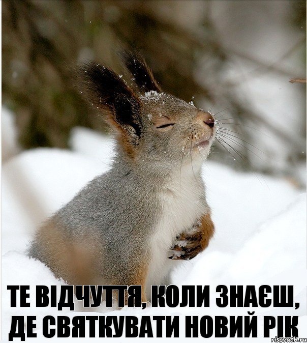 Те відчуття, коли знаєш, де святкувати Новий Рік, Комикс тре