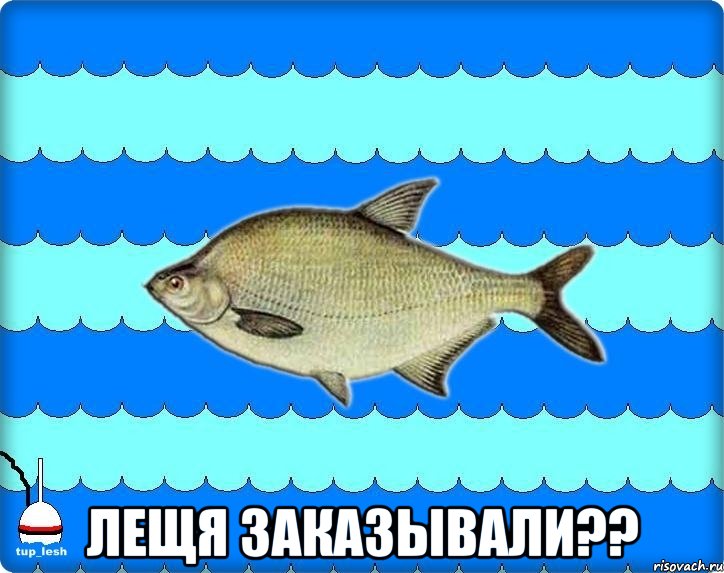  лещя заказывали??, Мем Тупичный лещ