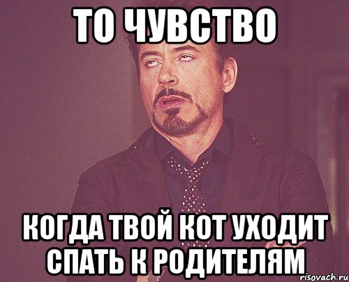 то чувство когда твой кот уходит спать к родителям, Мем твое выражение лица