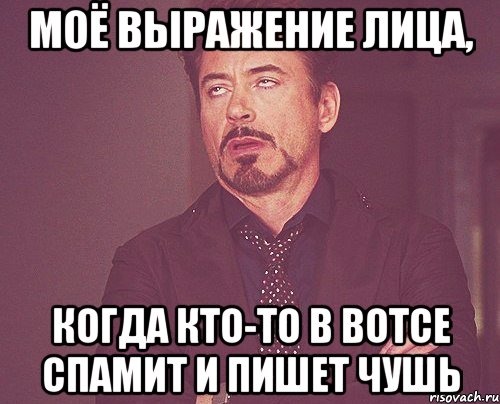 Моё выражение лица, когда кто-то в вотсе спамит и пишет чушь, Мем твое выражение лица