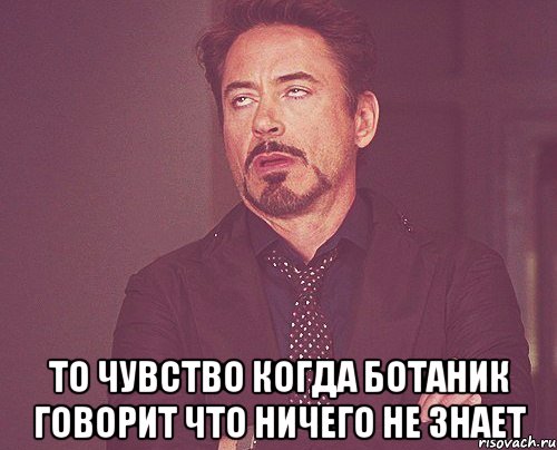  то чувство когда ботаник говорит что ничего не знает, Мем твое выражение лица