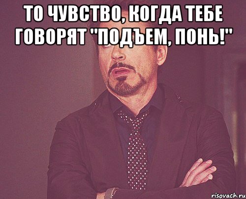 то чувство, когда тебе говорят "подъем, понь!" , Мем твое выражение лица