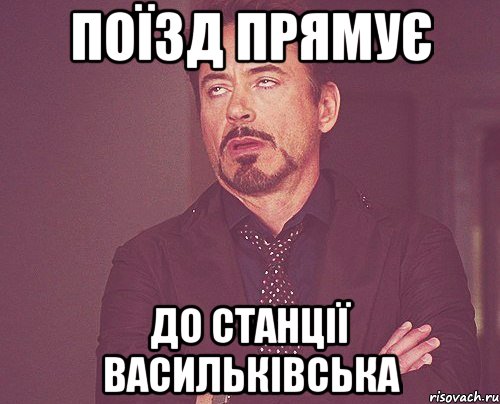 Поїзд прямує до станції васильківська, Мем твое выражение лица