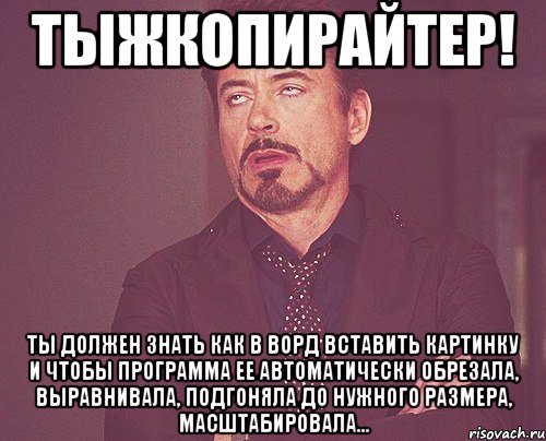 тыжкопирайтер! ты должен знать как в ворд вставить картинку и чтобы программа ее автоматически обрезала, выравнивала, подгоняла до нужного размера, масштабировала..., Мем твое выражение лица