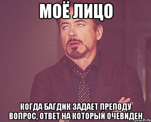 моё лицо когда багдик задает преподу вопрос, ответ на который очевиден, Мем твое выражение лица