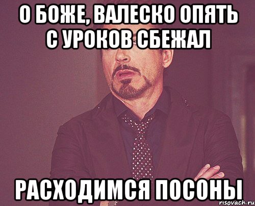 О боже, валеско опять с уроков сбежал Расходимся посоны, Мем твое выражение лица